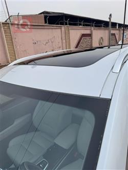 رينو كوليوس